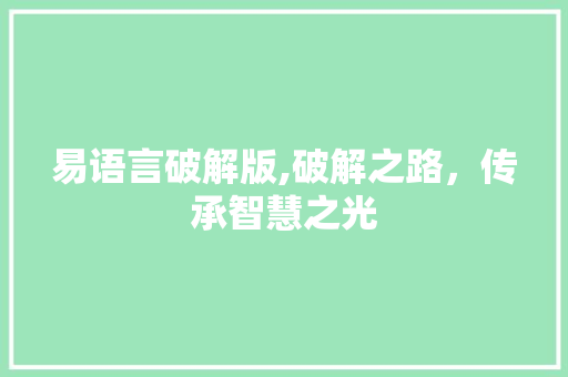 易语言破解版,破解之路，传承智慧之光