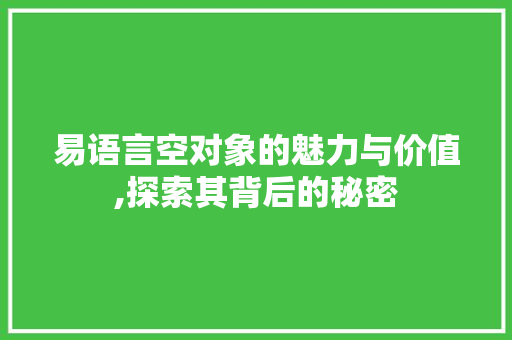 易语言空对象的魅力与价值,探索其背后的秘密
