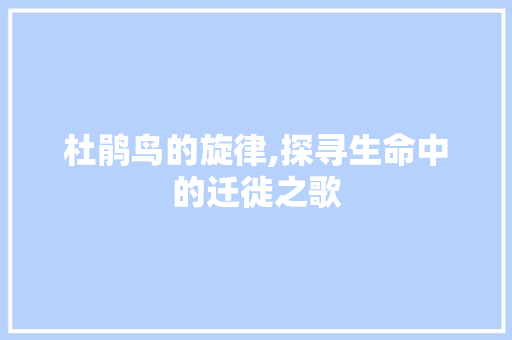 杜鹃鸟的旋律,探寻生命中的迁徙之歌