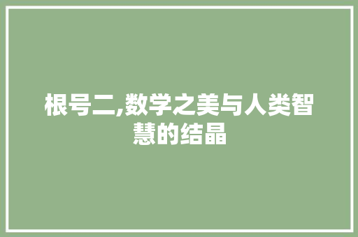 根号二,数学之美与人类智慧的结晶