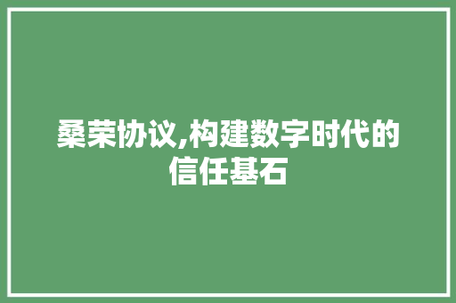 桑荣协议,构建数字时代的信任基石