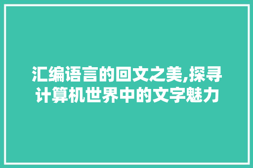 汇编语言的回文之美,探寻计算机世界中的文字魅力