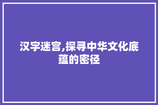 汉字迷宫,探寻中华文化底蕴的密径