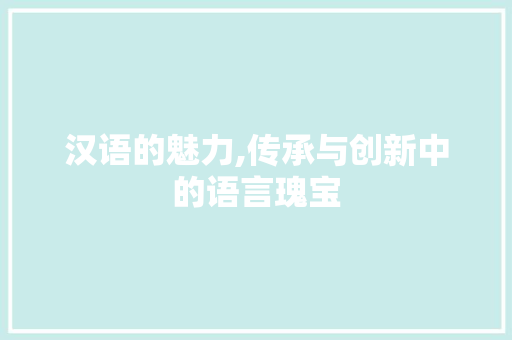 汉语的魅力,传承与创新中的语言瑰宝