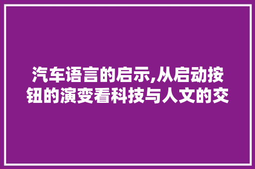 汽车语言的启示,从启动按钮的演变看科技与人文的交融