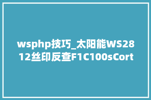 wsphp技巧_太阳能WS2812丝印反查F1C100sCortexM7技能文章分享