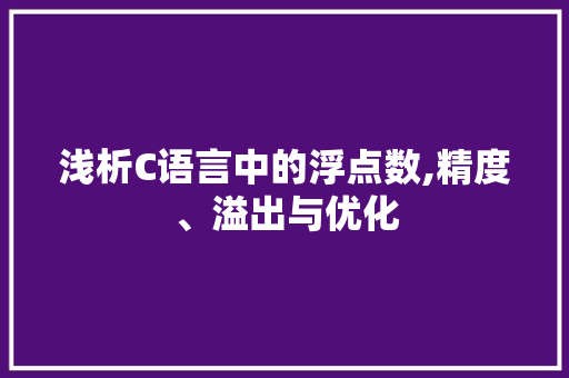 浅析C语言中的浮点数,精度、溢出与优化