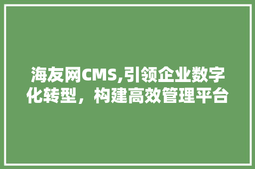 海友网CMS,引领企业数字化转型，构建高效管理平台