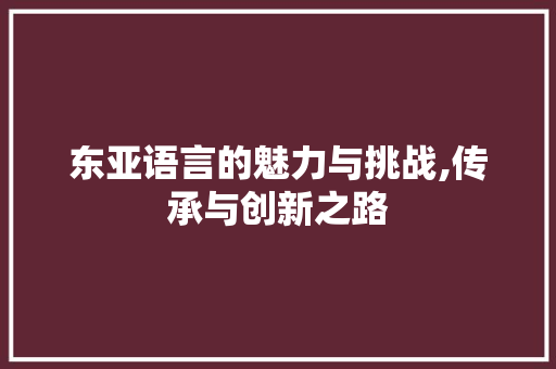 东亚语言的魅力与挑战,传承与创新之路