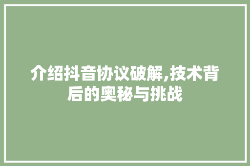 介绍抖音协议破解,技术背后的奥秘与挑战