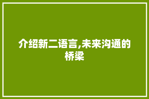 介绍新二语言,未来沟通的桥梁