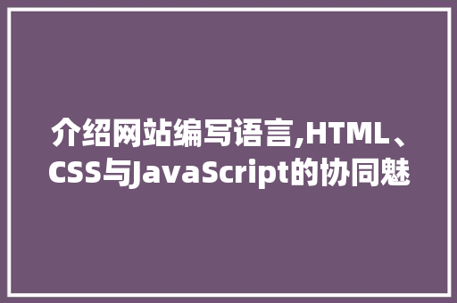 介绍网站编写语言,HTML、CSS与JavaScript的协同魅力