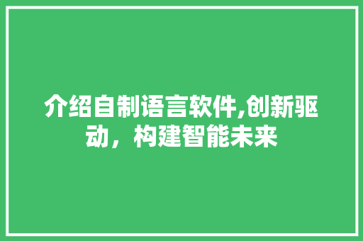 介绍自制语言软件,创新驱动，构建智能未来