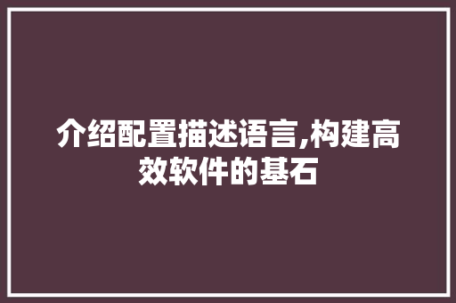 介绍配置描述语言,构建高效软件的基石