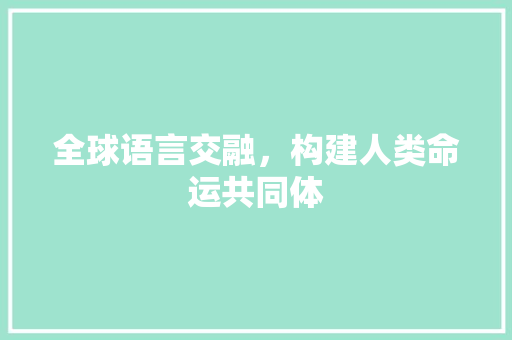 全球语言交融，构建人类命运共同体