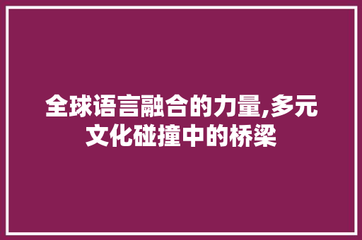 全球语言融合的力量,多元文化碰撞中的桥梁