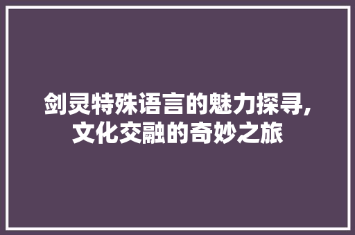 剑灵特殊语言的魅力探寻,文化交融的奇妙之旅