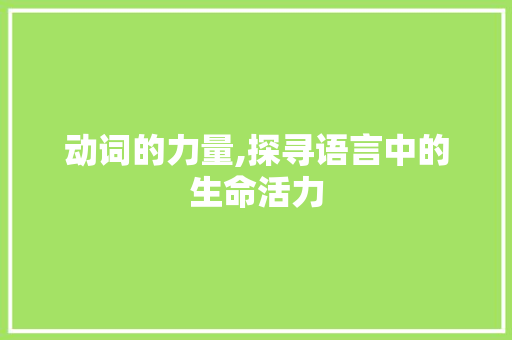 动词的力量,探寻语言中的生命活力