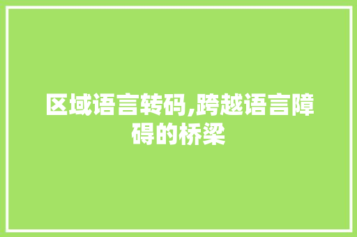 区域语言转码,跨越语言障碍的桥梁