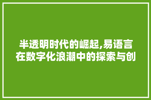 半透明时代的崛起,易语言在数字化浪潮中的探索与创新