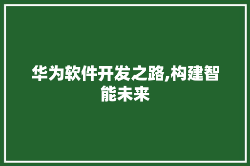 华为软件开发之路,构建智能未来