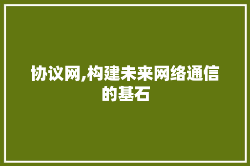 协议网,构建未来网络通信的基石