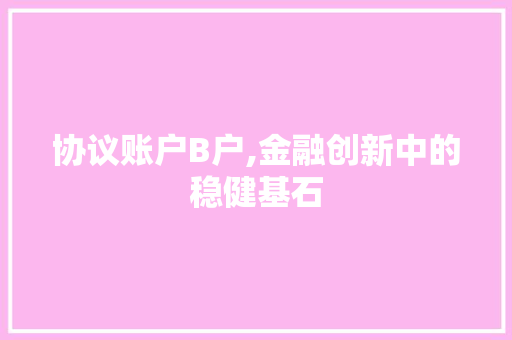 协议账户B户,金融创新中的稳健基石