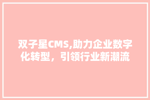 双子星CMS,助力企业数字化转型，引领行业新潮流