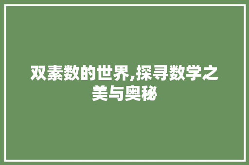 双素数的世界,探寻数学之美与奥秘