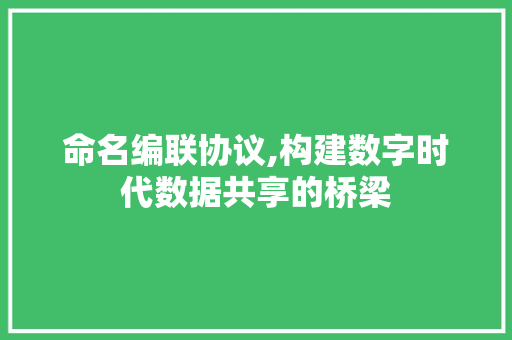 命名编联协议,构建数字时代数据共享的桥梁