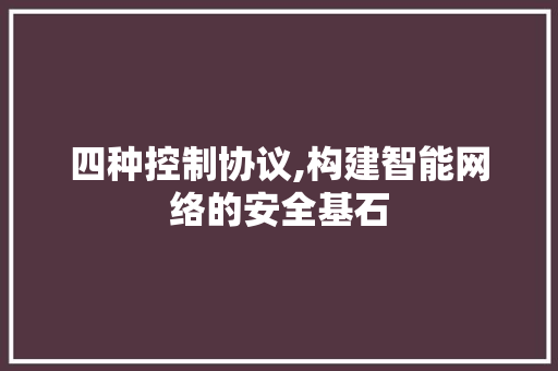 四种控制协议,构建智能网络的安全基石