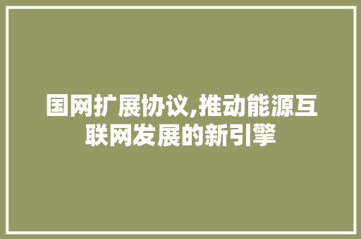 国网扩展协议,推动能源互联网发展的新引擎