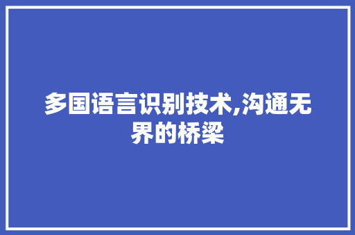 多国语言识别技术,沟通无界的桥梁