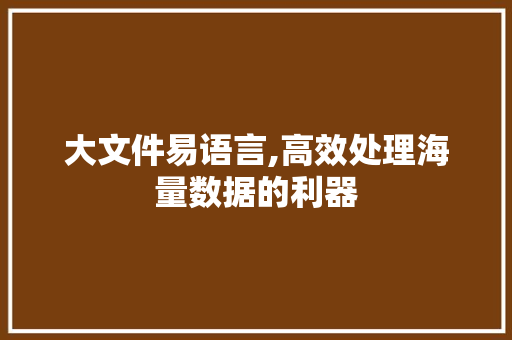 大文件易语言,高效处理海量数据的利器