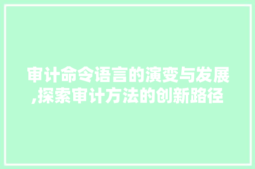 审计命令语言的演变与发展,探索审计方法的创新路径