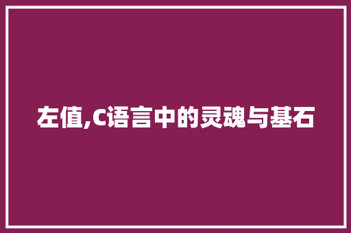 左值,C语言中的灵魂与基石