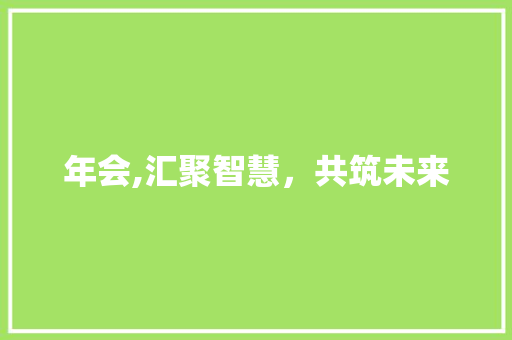 年会,汇聚智慧，共筑未来