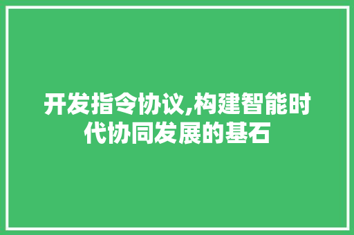 开发指令协议,构建智能时代协同发展的基石