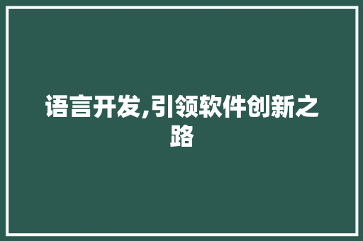 语言开发,引领软件创新之路