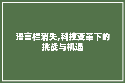 语言栏消失,科技变革下的挑战与机遇