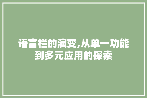 语言栏的演变,从单一功能到多元应用的探索