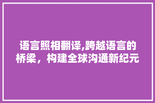 语言照相翻译,跨越语言的桥梁，构建全球沟通新纪元