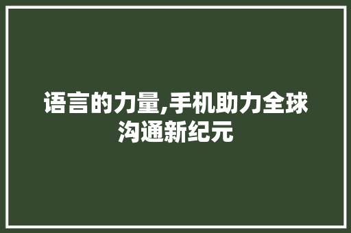 语言的力量,手机助力全球沟通新纪元