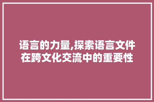 语言的力量,探索语言文件在跨文化交流中的重要性