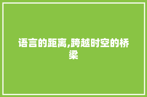 语言的距离,跨越时空的桥梁