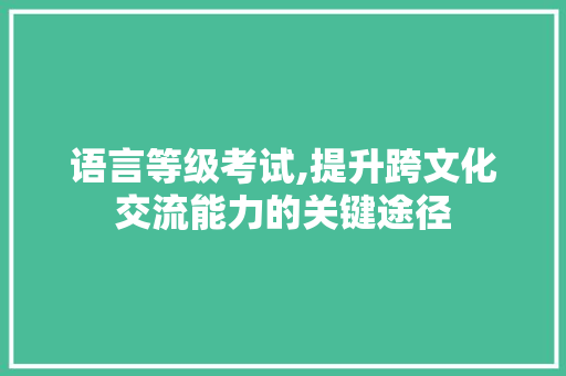语言等级考试,提升跨文化交流能力的关键途径