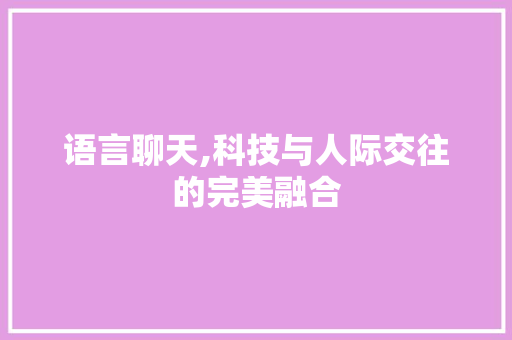 语言聊天,科技与人际交往的完美融合