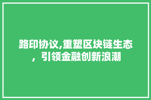 路印协议,重塑区块链生态，引领金融创新浪潮