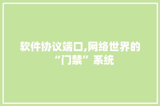 软件协议端口,网络世界的“门禁”系统