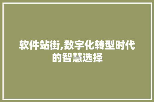 软件站街,数字化转型时代的智慧选择